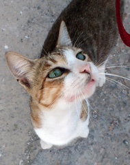 P7306309a1.jpg